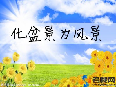 2531170_055926229173_2_副本.jpg
